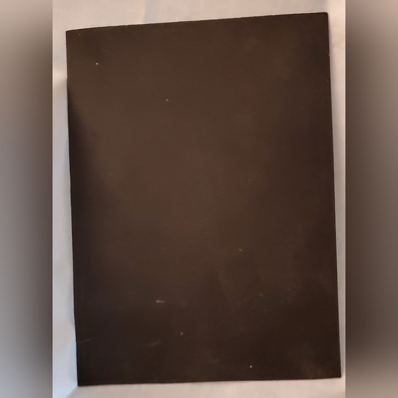 Beatles Collector Edition Magnet Psychedelic by Richard Avedon 5.5" x 4" - Picture 2 of 3